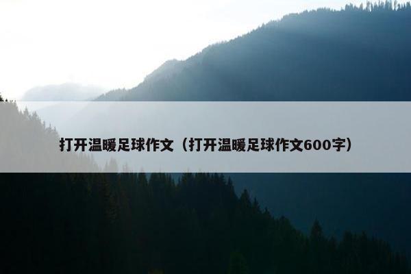打开温暖足球作文（打开温暖足球作文600字）