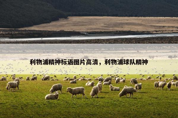 利物浦精神标语图片高清，利物浦球队精神