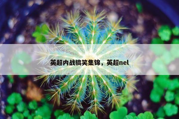 英超内战搞笑集锦，英超nel