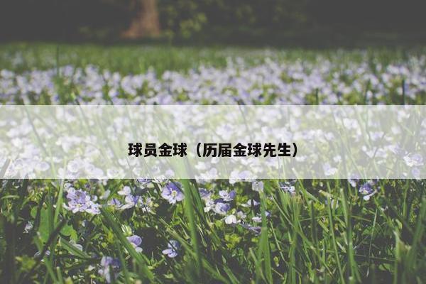 球员金球（历届金球先生）