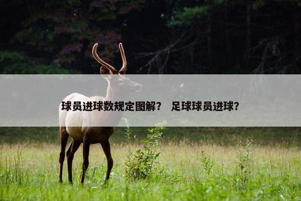 球员进球数规定图解？ 足球球员进球？