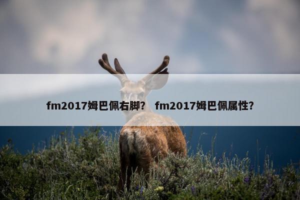 fm2017姆巴佩右脚？ fm2017姆巴佩属性？