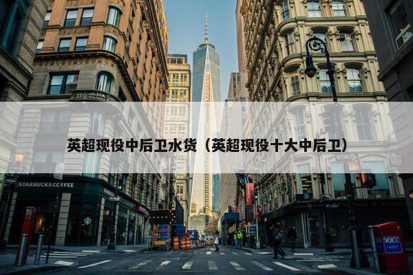 英超现役中后卫水货（英超现役十大中后卫）