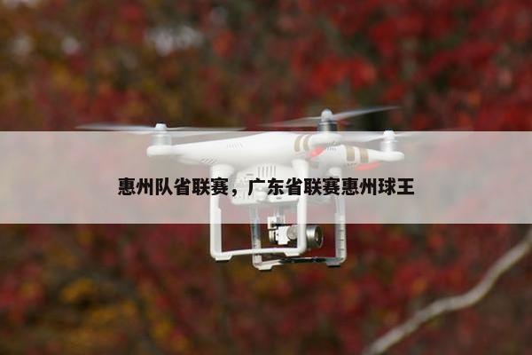 惠州队省联赛，广东省联赛惠州球王