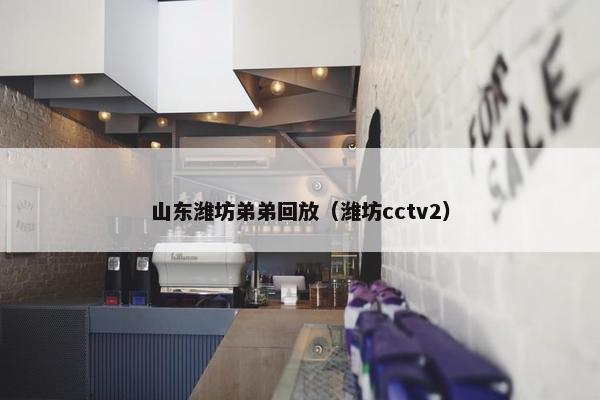 山东潍坊弟弟回放（潍坊cctv2）