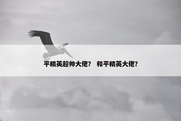 平精英超帅大佬？ 和平精英大佬？