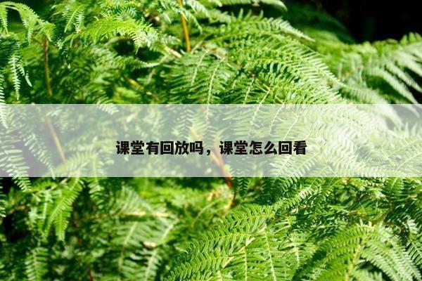 课堂有回放吗，课堂怎么回看