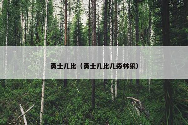 勇士几比（勇士几比几森林狼）