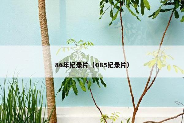 86年纪录片（085纪录片）