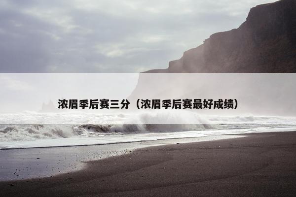 浓眉季后赛三分（浓眉季后赛最好成绩）