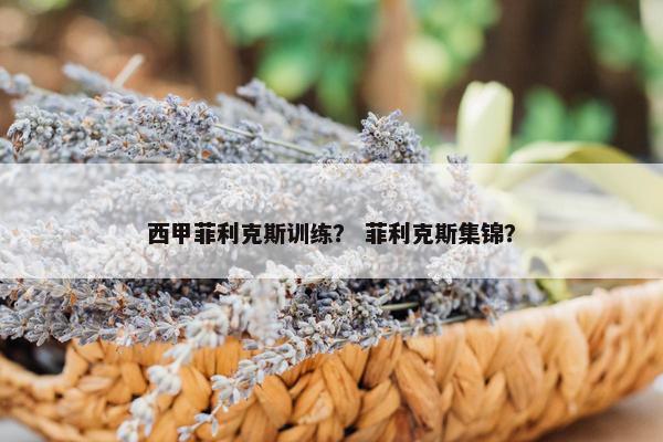 西甲菲利克斯训练？ 菲利克斯集锦？