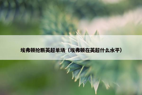 埃弗顿抢断英超单场（埃弗顿在英超什么水平）
