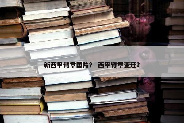 新西甲臂章图片？ 西甲臂章变迁？