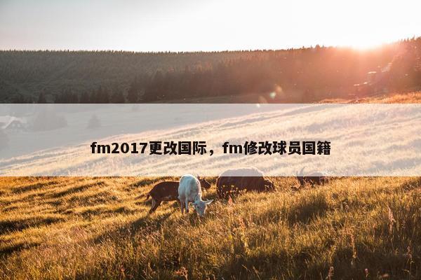 fm2017更改国际，fm修改球员国籍
