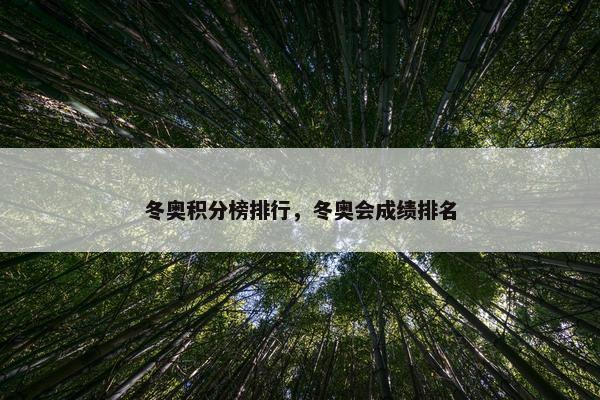 冬奥积分榜排行，冬奥会成绩排名