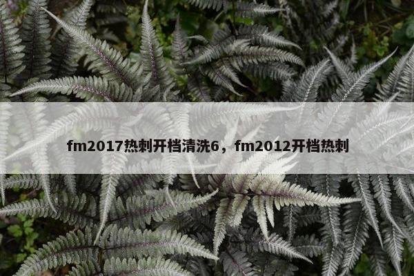 fm2017热刺开档清洗6，fm2012开档热刺