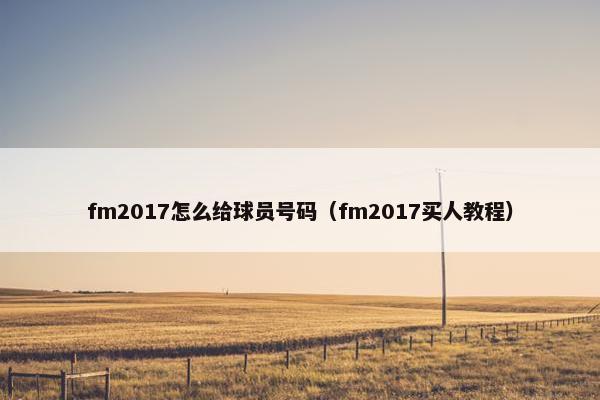 fm2017怎么给球员号码（fm2017买人教程）