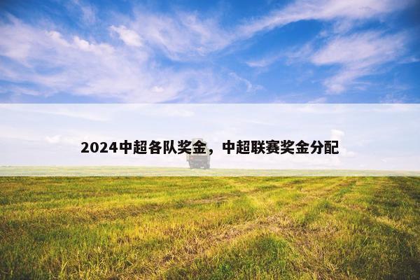 2024中超各队奖金，中超联赛奖金分配