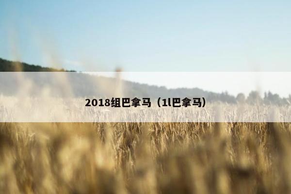 2018组巴拿马（1l巴拿马）