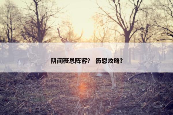 阴间薇恩阵容？ 薇恩攻略？