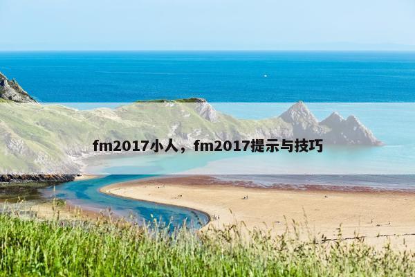 fm2017小人，fm2017提示与技巧