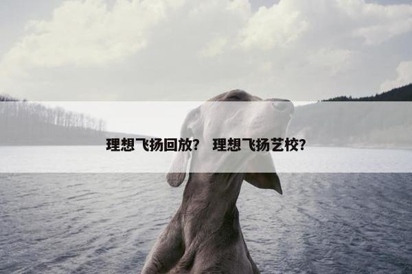 理想飞扬回放？ 理想飞扬艺校？