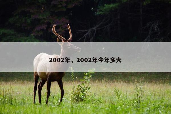 2002年，2002年今年多大