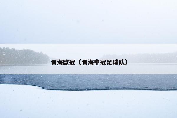 青海欧冠(青海中冠足球队) 青海欧冠(青海中冠足球队)