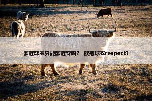 欧冠球衣只能欧冠穿吗？ 欧冠球衣respect？