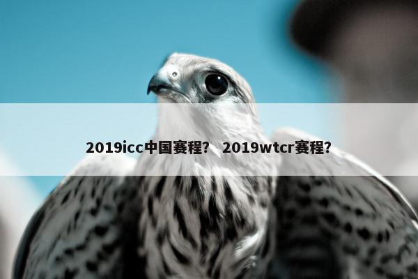 2019icc中国赛程？ 2019wtcr赛程？
