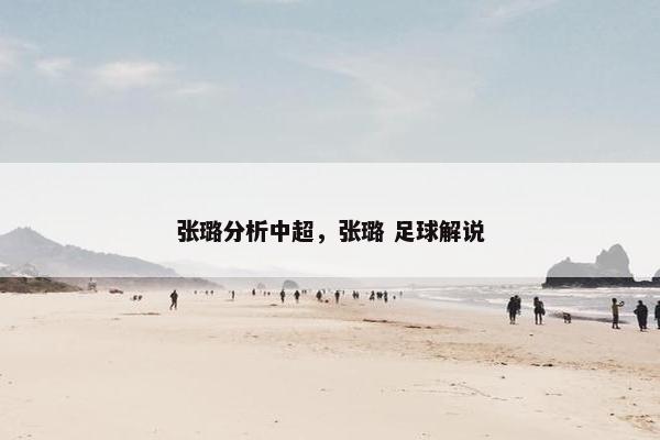 张璐分析中超，张璐 足球解说