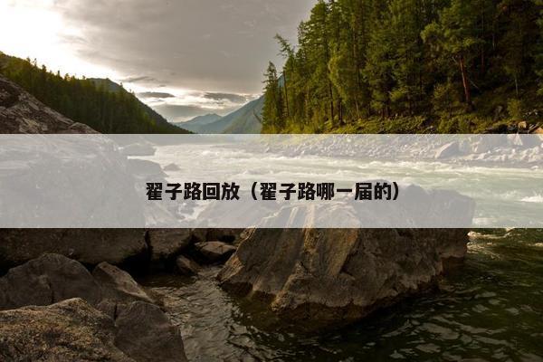 翟子路回放(翟子路哪一届的) 翟子路回放(翟子路哪一届的)