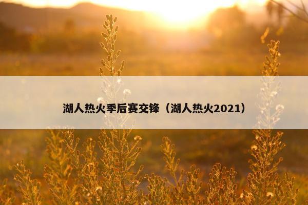 湖人热火季后赛交锋（湖人热火2021）