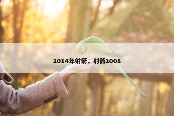 2014年射箭，射箭2008
