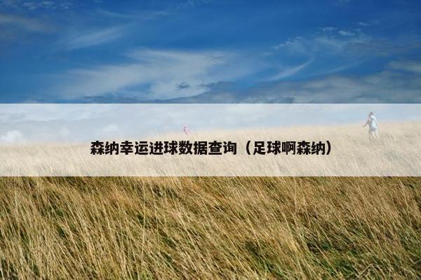 森纳幸运进球数据查询（足球啊森纳）