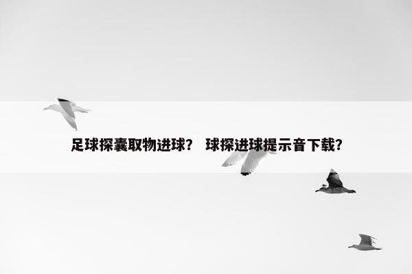足球探囊取物进球？ 球探进球提示音下载？