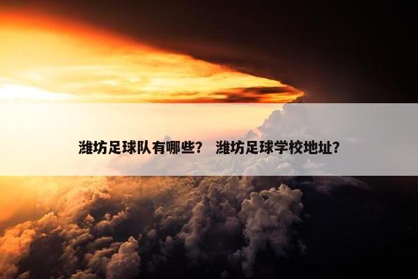 潍坊足球队有哪些？ 潍坊足球学校地址？