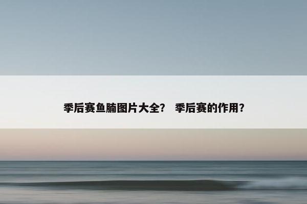 季后赛鱼腩图片大全？ 季后赛的作用？
