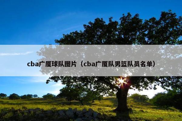cba广厦球队图片（cba广厦队男篮队员名单）