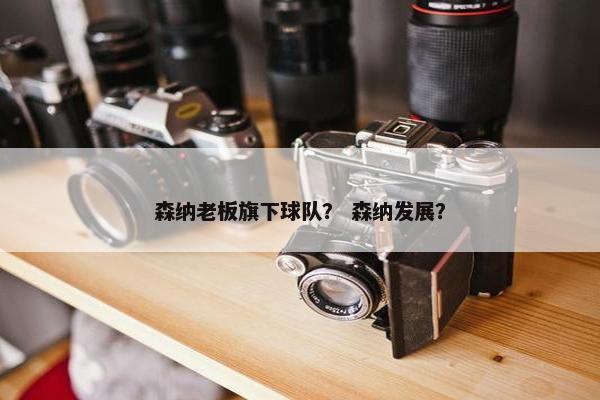 森纳老板旗下球队？ 森纳发展？