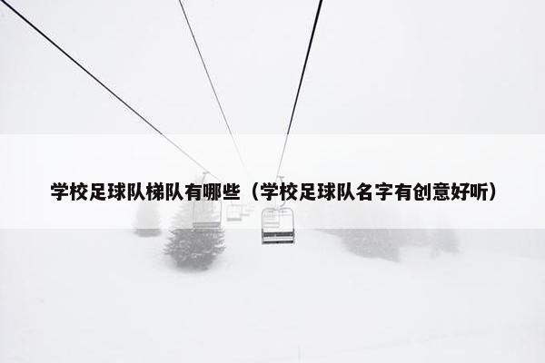 学校足球队梯队有哪些（学校足球队名字有创意好听）