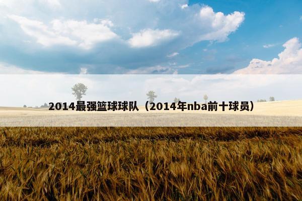 2014最强篮球球队（2014年nba前十球员）