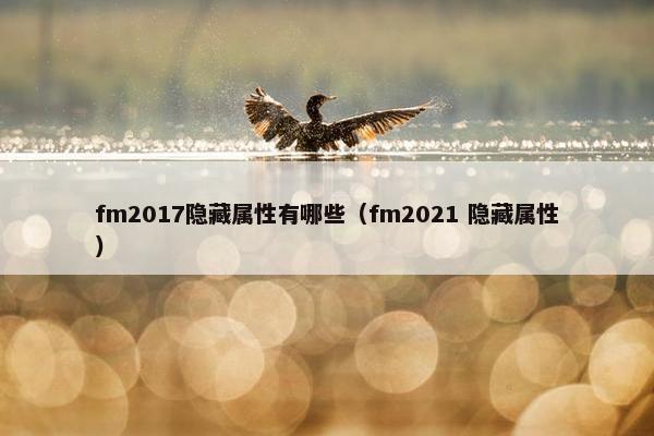 fm2017隐藏属性有哪些（fm2021 隐藏属性）