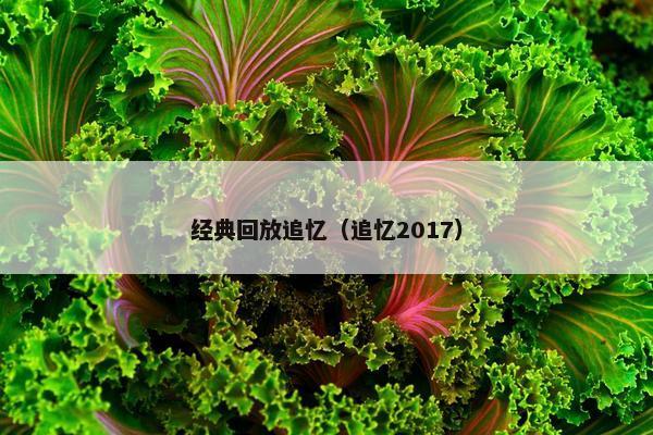 经典回放追忆（追忆2017）