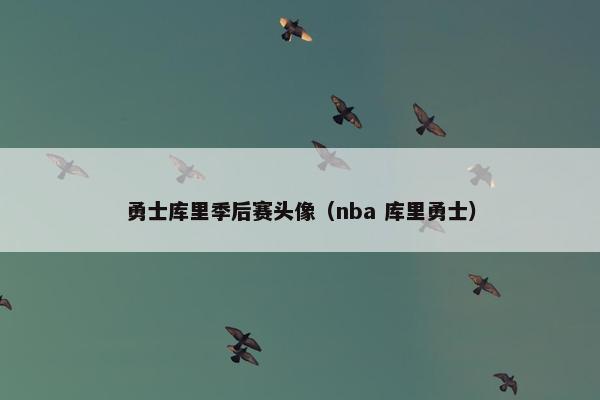 勇士库里季后赛头像（nba 库里勇士）