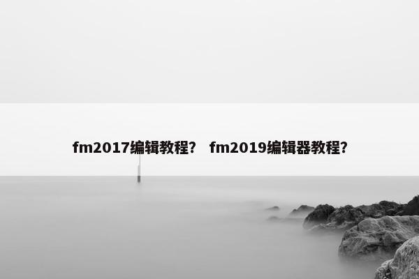 fm2017编辑教程？ fm2019编辑器教程？