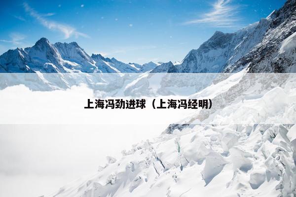 上海冯劲进球（上海冯经明）