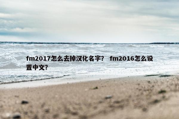 fm2017怎么去掉汉化名字？ fm2016怎么设置中文？