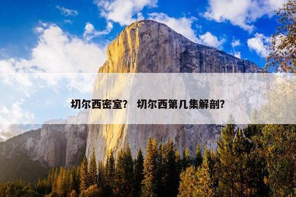 切尔西密室？ 切尔西第几集解剖？