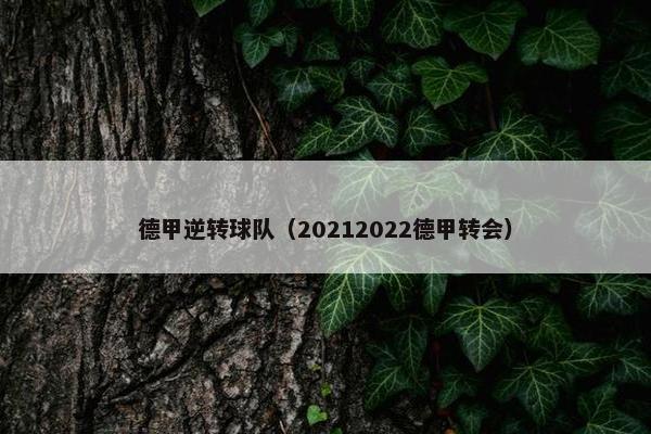 德甲逆转球队（20212022德甲转会）